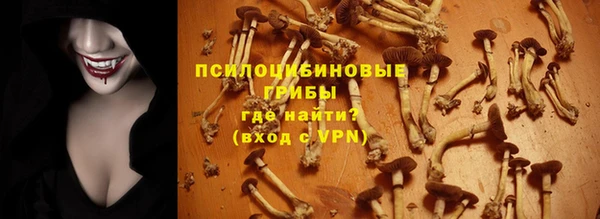 spice Армянск