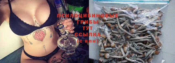 PSILOCYBIN Арсеньев