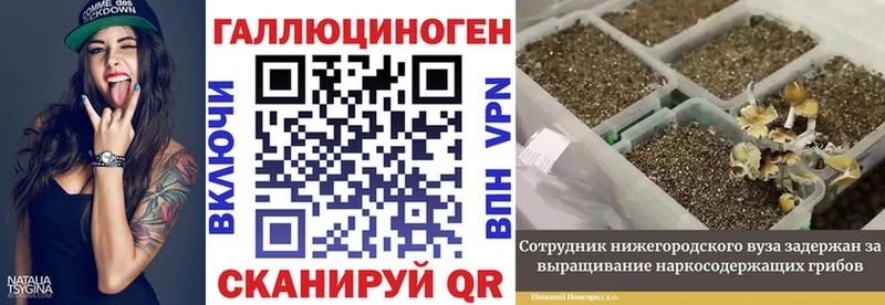 Галлюциногенные грибы GOLDEN TEACHER как найти наркотики Баймак